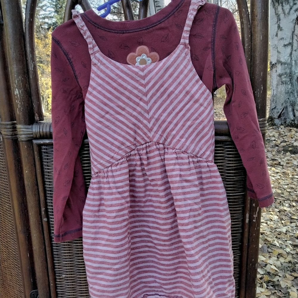 🙂 3/15 Gymboree long-sleeved shirt size 5...tea jumper size 5